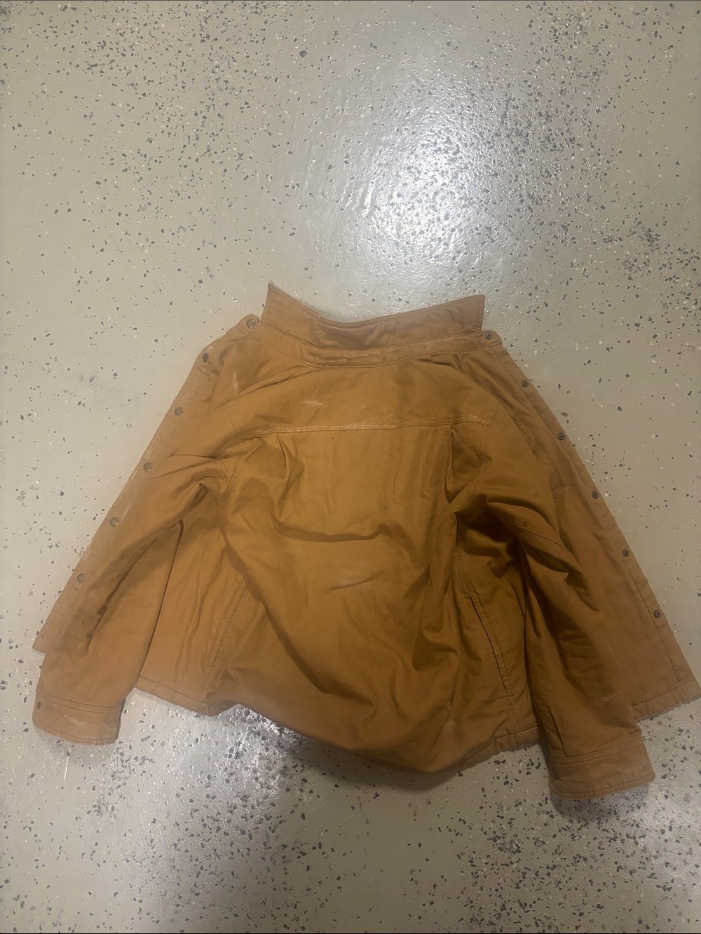 Dickies Caramel